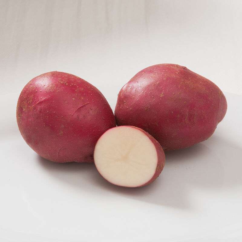 Strawberry Paw Seed Potatoes