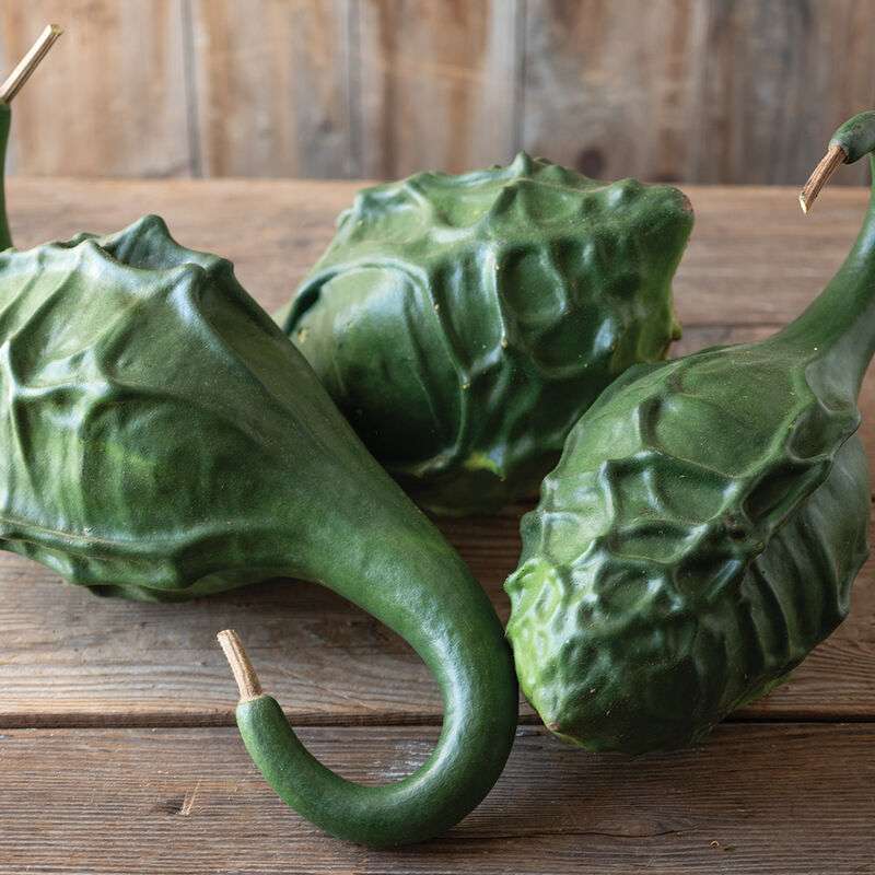 Dinosaur Gourd Gourd Seed