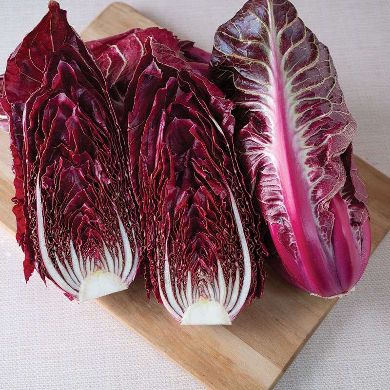 Luna Rossa Radicchio Seed