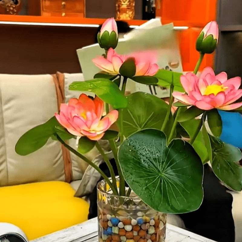 30 Bowl Lotus Flower seeds Water Lily Home Garden Plants