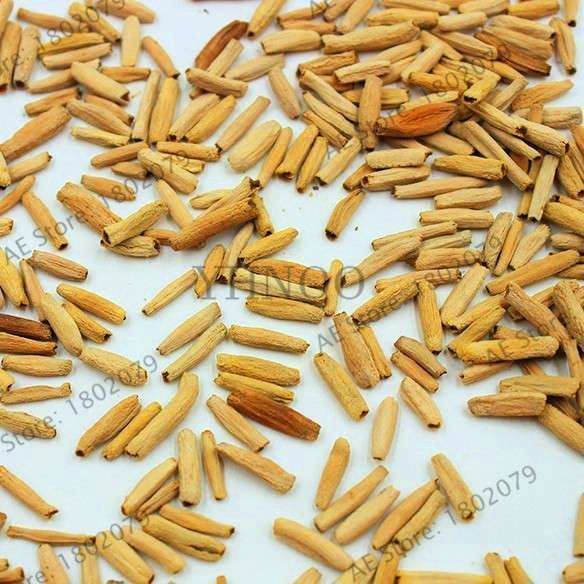 100 PCS Mixed Adenium Obesum (Desert Rose) Seeds