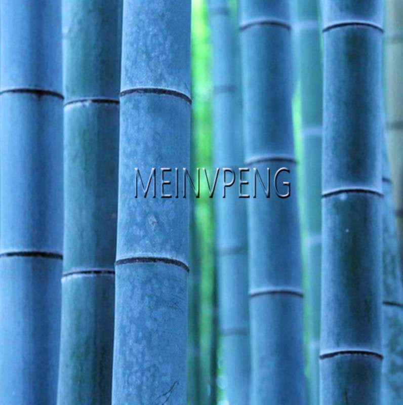 50 Pcs Blue Bamboo Seed Pack