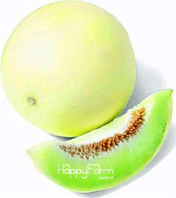 Rare Green Flesh Honeydew Melon Seeds - Sweet Fruit, Potted Garden Plants, DIY Gift