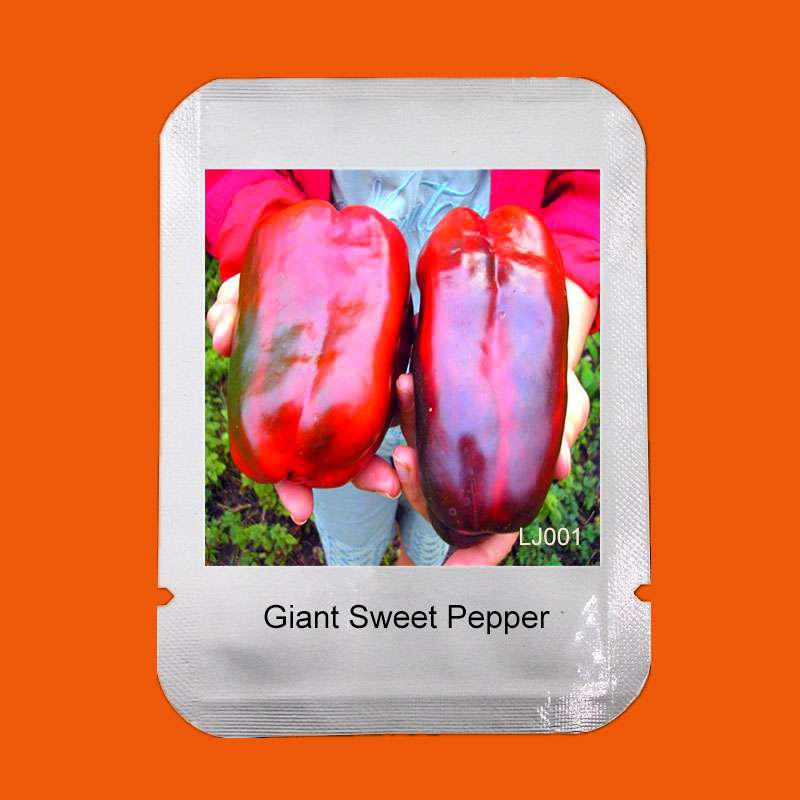 Organic Russian Giant Sweet Pepper Seeds - Heirloom Krasnyy Velikan Chili, Non-GMO, Free Shipping
