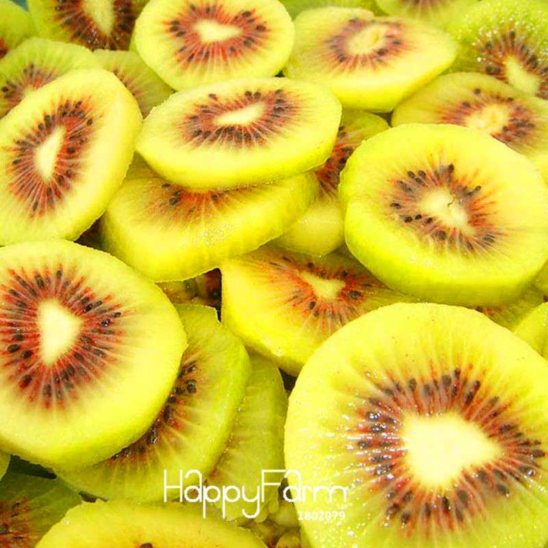 Organic Yellow Heart Kiwi Seeds - Sweet Fruit & Bonsai Tree, Non-GMO, Home Garden Planting