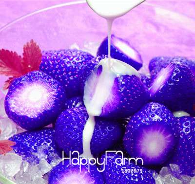 Giant Strawberry Seeds - Sweet, Fragrant & Juicy, - Rare Four Seasons Variety for Home Garden