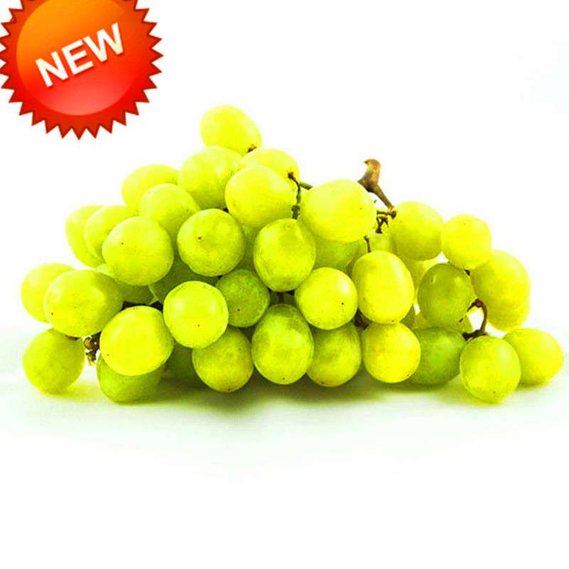 Green Grape Seeds - Super Sweet Natural Fruit Seeds for Home Gardening & Planting