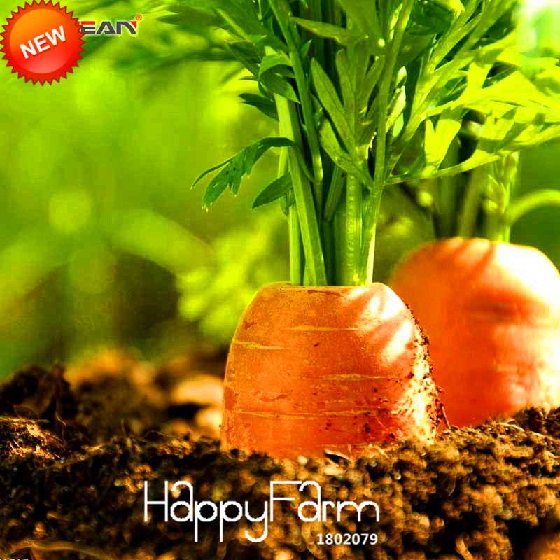 Carrot Seeds for Planting - Non-GMO, Fresh Vegetable Seeds for Home Garden (Potted & Outdoor)