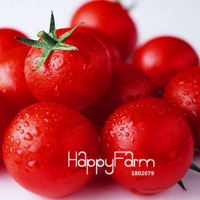 Organic Chocolate Black Tomato Seeds - for Home Garden, Non-GMO Heirloom Vegetable Seeds