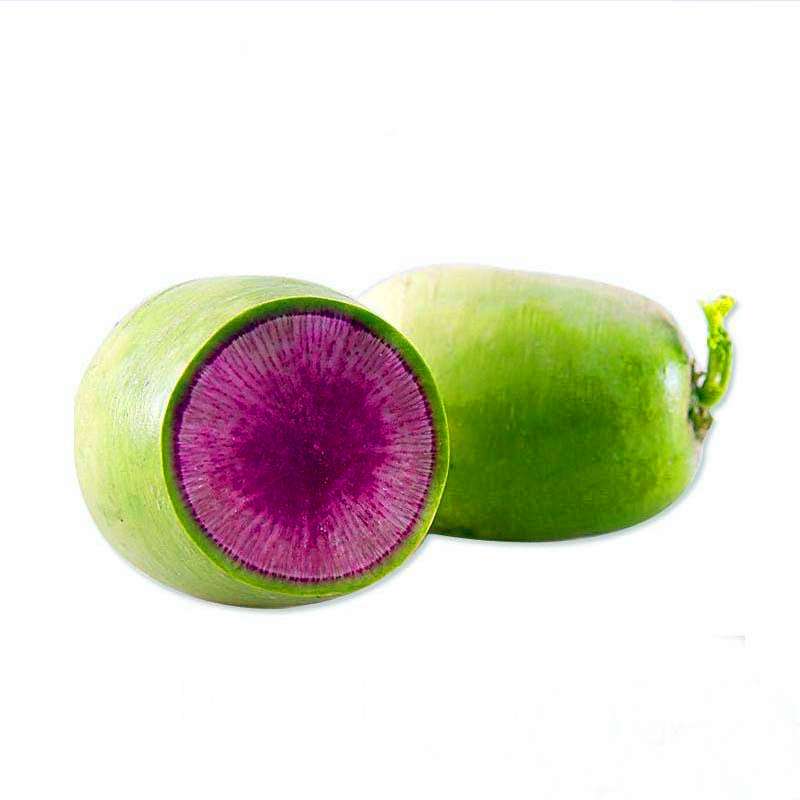 Organic Red Radish Seeds - for Balcony Potted Plants, Non-GMO Veggie & Fruit Garden Seeds