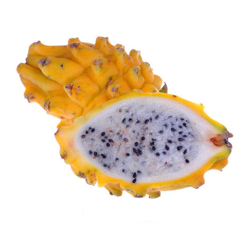 Yellow Dragon Fruit Seeds - Non-GMO Hylocereus Pitaya Plants, Perennial & Easy to Grow