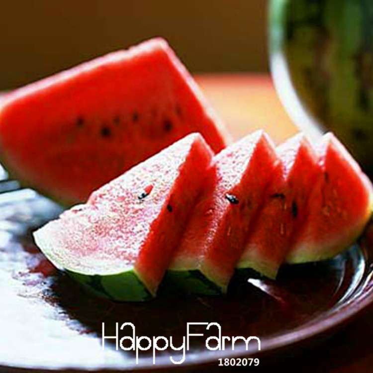 Fresh Watermelon Seeds for Planting - Sweet, Juicy & Easy to Grow - Bonsai or Garden