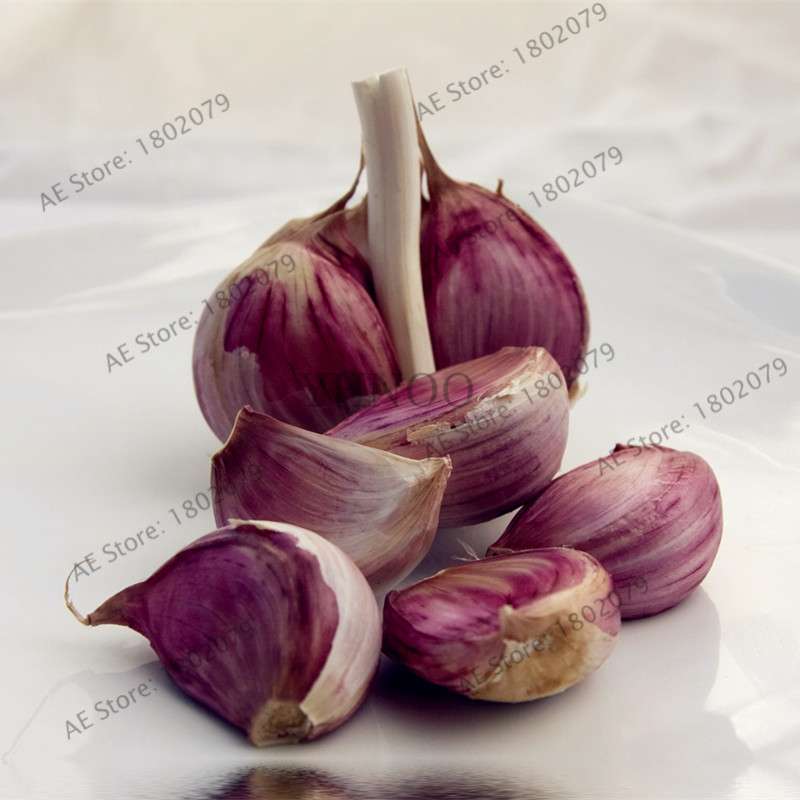 Organic Garlic Seeds - Healthy, Natural & Delicious Home Garden Planting