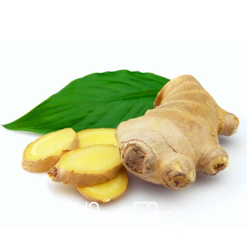 Ginger Seeds - Grow Fresh Zingiber Plants Year-Round, Perfect for Balcony & Indoor Potted Bonsai Gardening