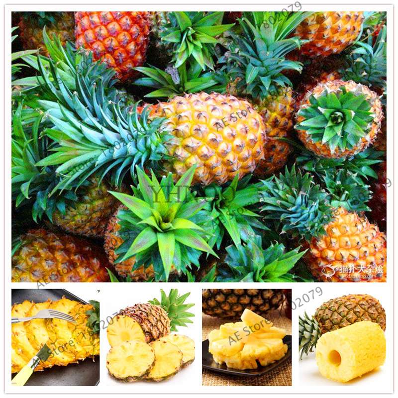 Sweet Yellow Pineapple Corn Seeds - Delicious Fruit & Vegetable Seeds for Planting