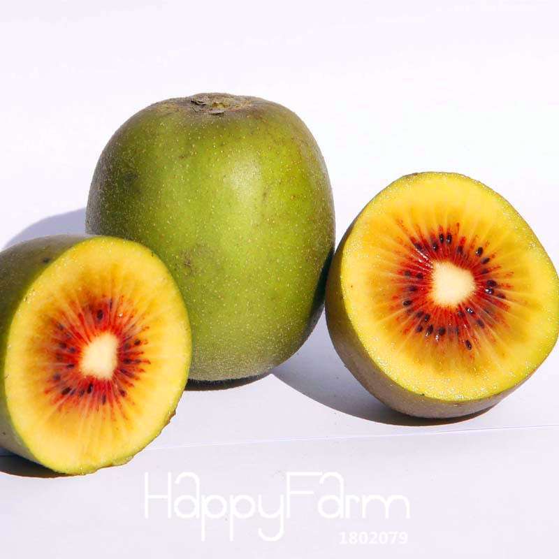 Red Kiwi Seeds - Organic, Non-GMO, Fresh Garden Bonsai Fruit Seeds for Home Planting