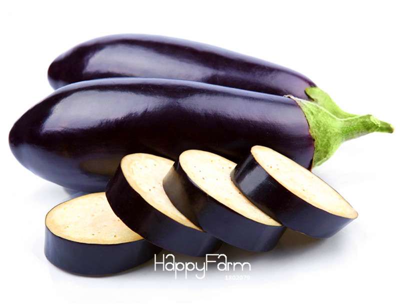 Purple Eggplant Seeds - Delicious, Non-GMO Vegetable Seeds for Home Garden & Bonsai | Fast-Growing, High Yield