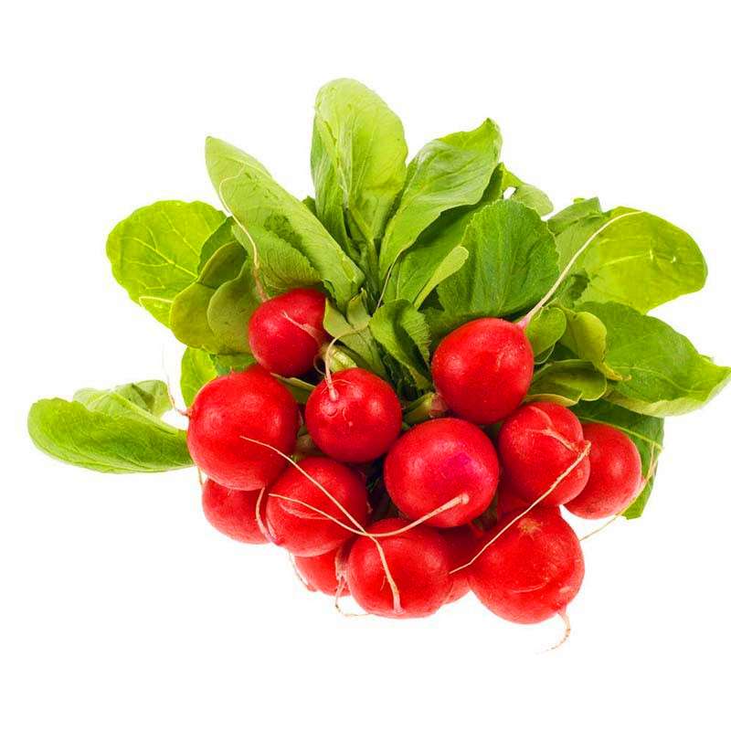 Organic Non-GMO Red Radish Seeds - Fresh Garden Vegetable Seeds for Home Planting