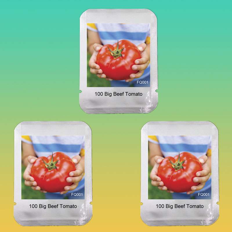 Big Beef Hybrid Tomato Seeds - Jumbo, Meaty & Tasty | Premium Garden Variety