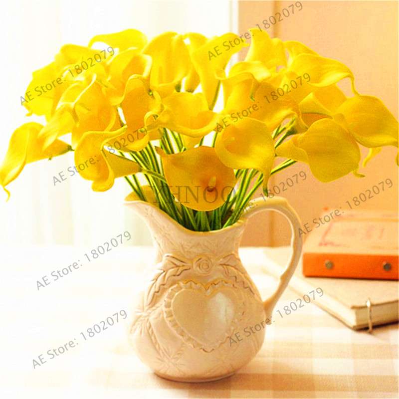 Rare Mixed Color Calla Lily Seeds - Beautiful Bonsai Flowers for Home Garden & Backyard Planting