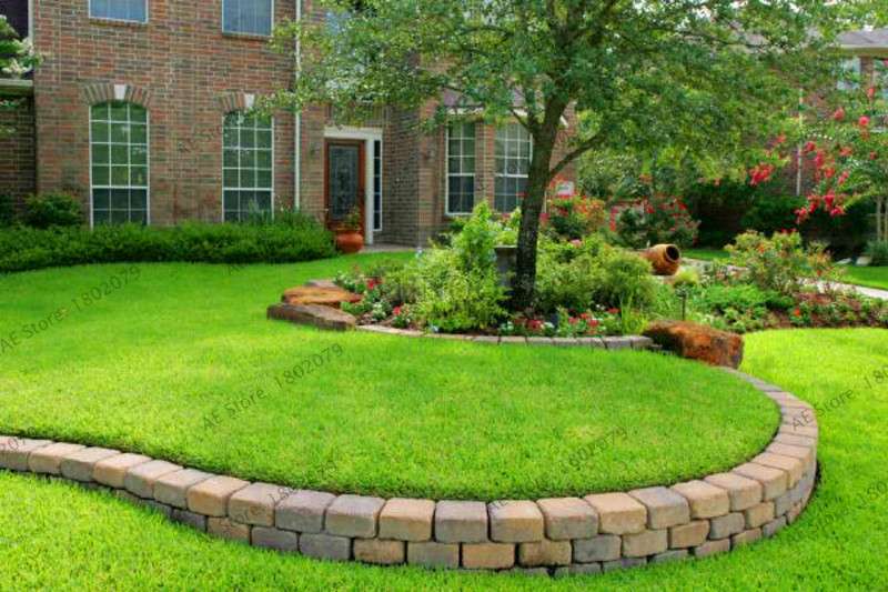2025 Mixed Color Lawn Grass Seeds - Bag for Home & Garden | Fast-Growing, Vibrant Blends
