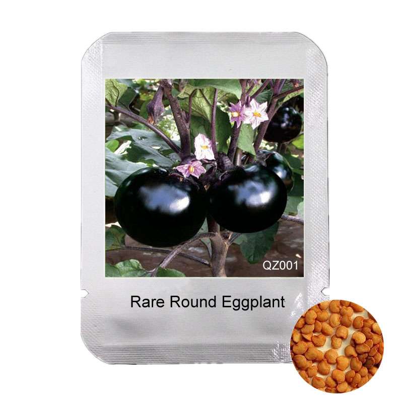 Round Eggplant Seeds - Delicious & Beautiful Bonsai Plants for Home Garden | Premium Vegetable Seeds