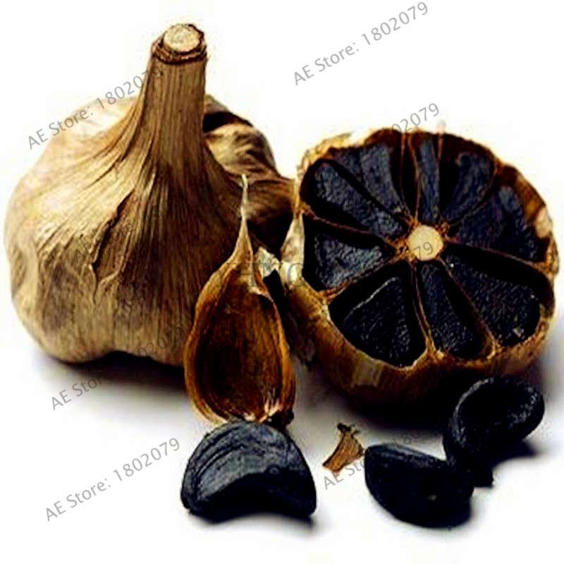 Organic Garlic Seeds - Healthy, Natural & Delicious Home Garden Planting
