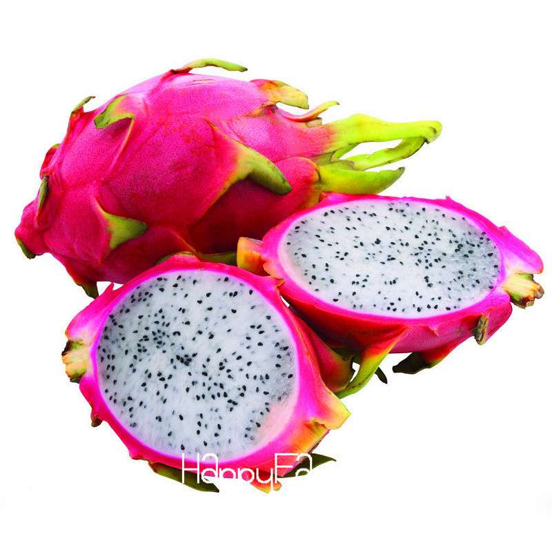 Non-GMO Dragon Fruit Seeds for Planting - Sweet Pitaya Bonsai Tree, - Fresh Hylocereus Fruit