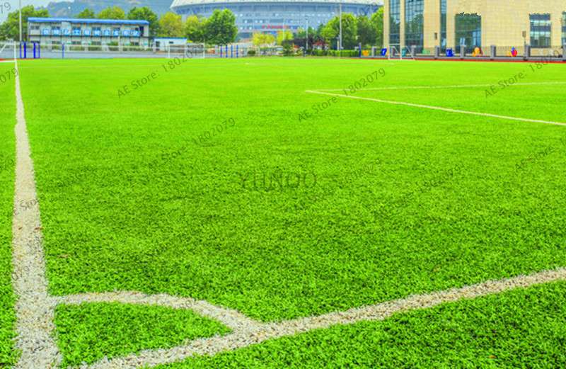 2025 Mixed Color Lawn Grass Seeds - Bag for Home & Garden | Fast-Growing, Vibrant Blends