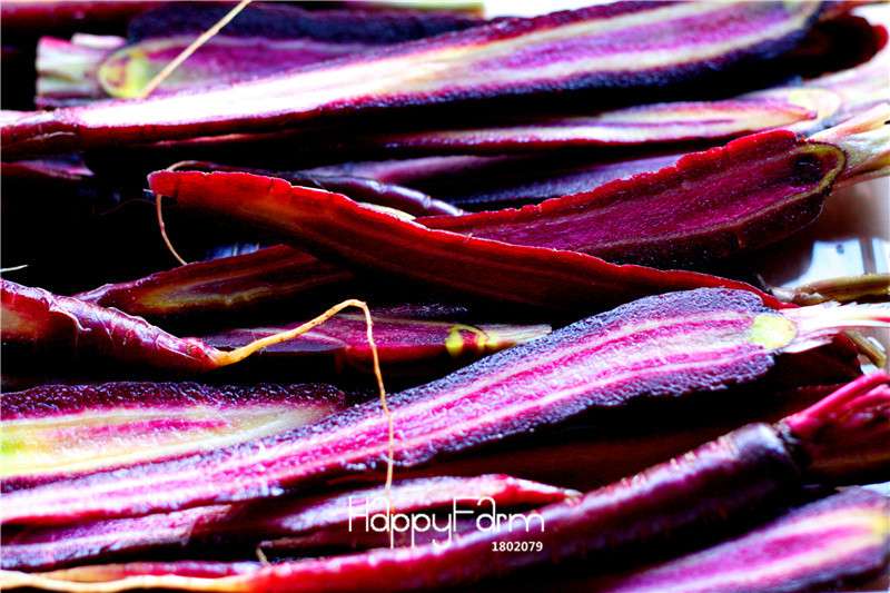 Purple Dragon Carrot Seeds - Non-GMO Home Garden Seeds, Anti-Aging & Bonsai Plant