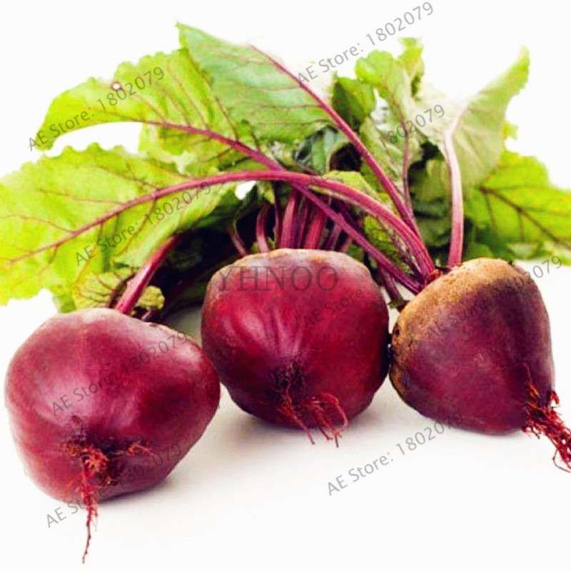 Beetroot Seeds - Non-GMO Heirloom, Bulk Beet Seeds for Home Garden, Bonsai & Planting | Fresh Beta Vulgaris