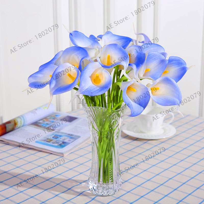 Rare Mixed Color Calla Lily Seeds - Beautiful Bonsai Flowers for Home Garden & Backyard Planting