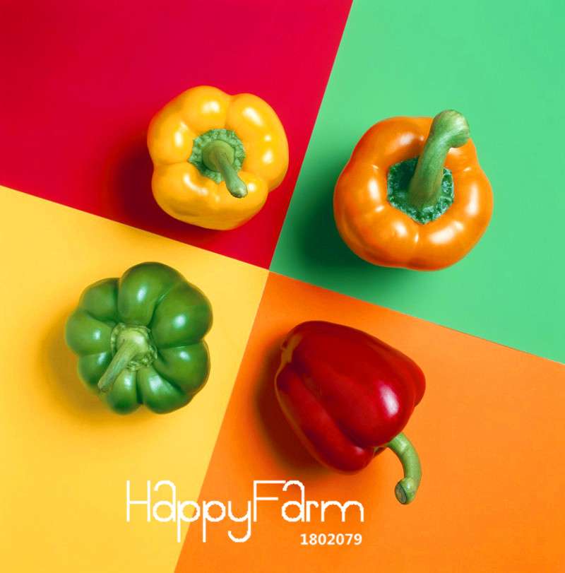 Mixed Garden Vegetable Seeds - 13 Varieties Including Colorful Red, Yellow, Green, Purple, Black & White Peppers