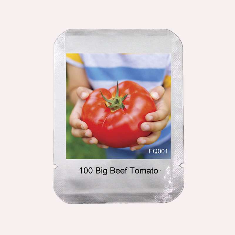 Big Beef Hybrid Tomato Seeds - Jumbo, Meaty & Tasty | Premium Garden Variety