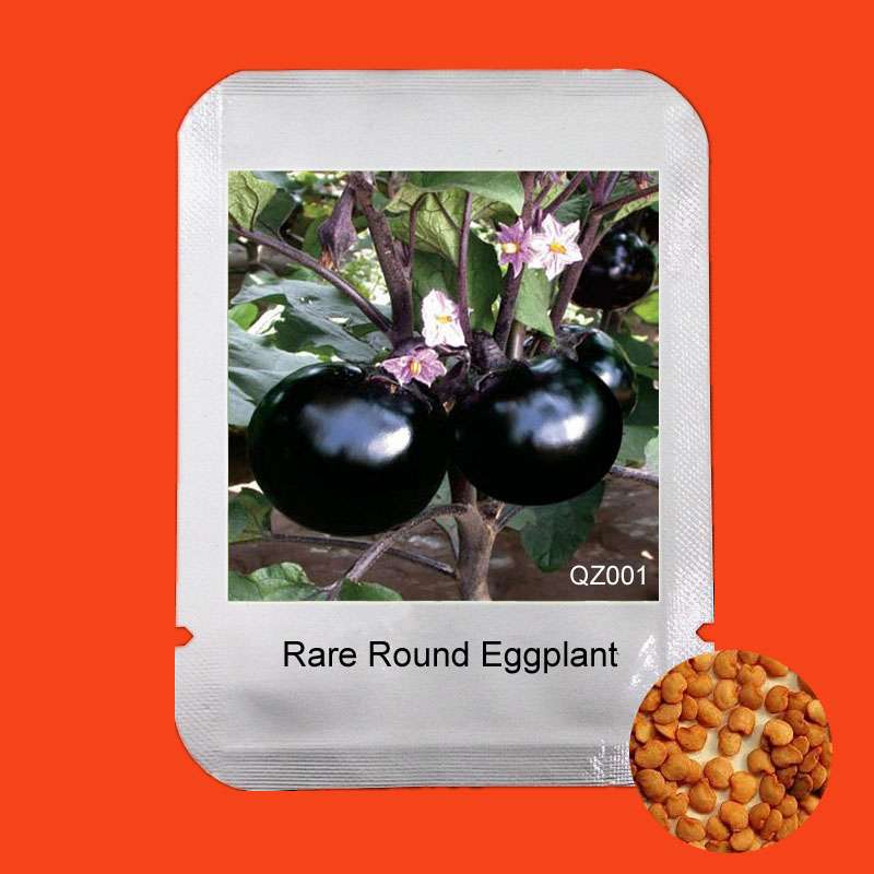 Round Eggplant Seeds - Delicious & Beautiful Bonsai Plants for Home Garden | Premium Vegetable Seeds