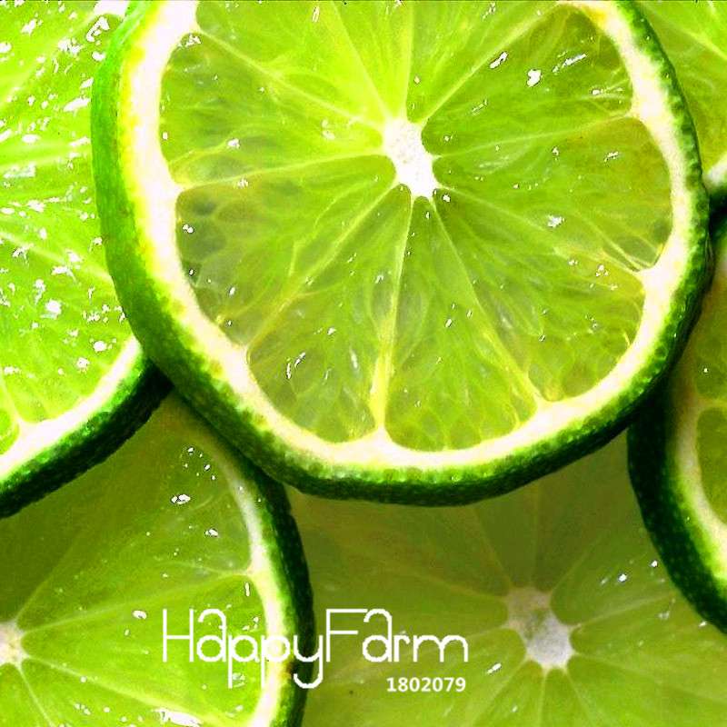 Green Lemon Seeds for Planting - Fresh Fruit, Garden & Bonsai Tree Seeds