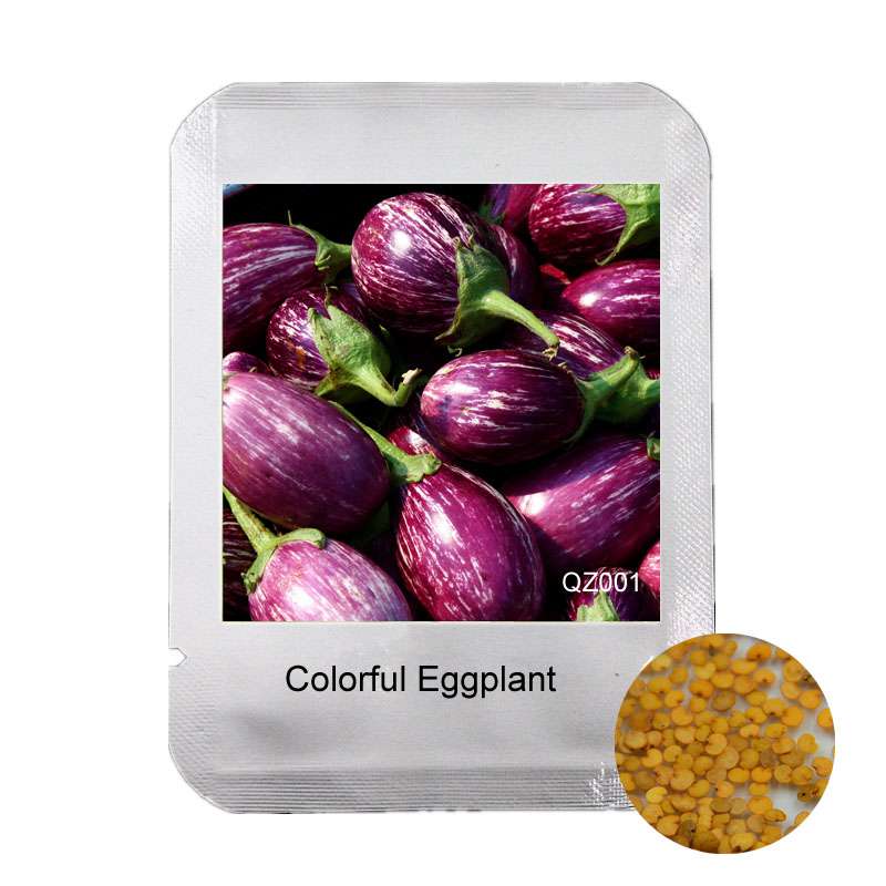 Colorful Eggplant Seeds for Planting - Easy-Grow, Natural Green Vegetable Seeds for Home Garden