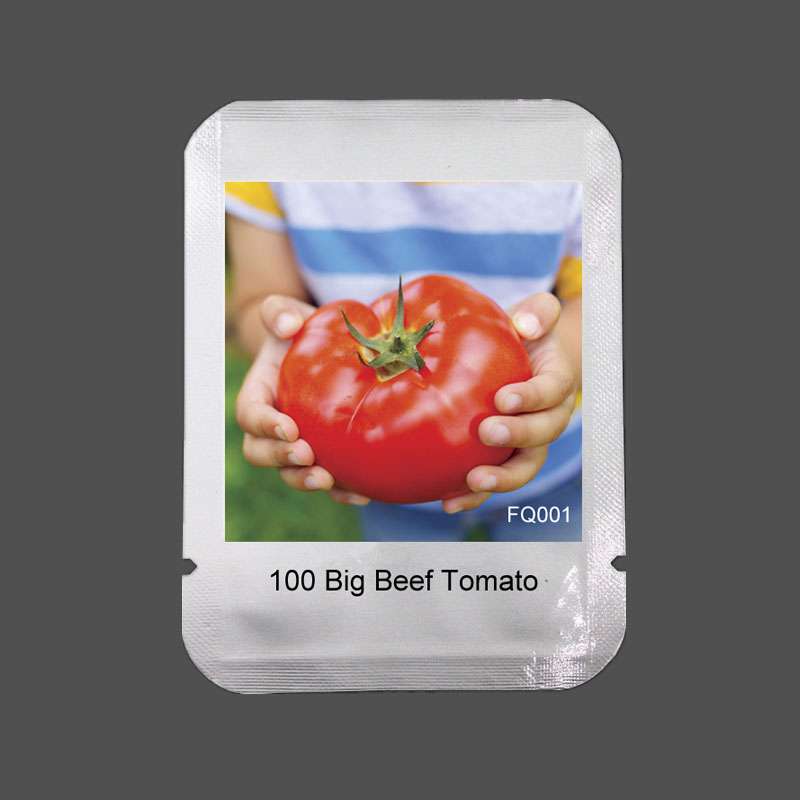 Big Beef Hybrid Tomato Seeds - Jumbo, Meaty & Tasty | Premium Garden Variety
