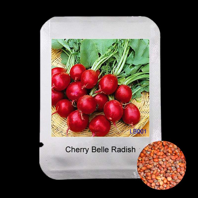 Cherry Belle Radish Seeds - Sweet, Delicious & Easy to Grow for Home Garden | Non-GMO, High Germination Rate