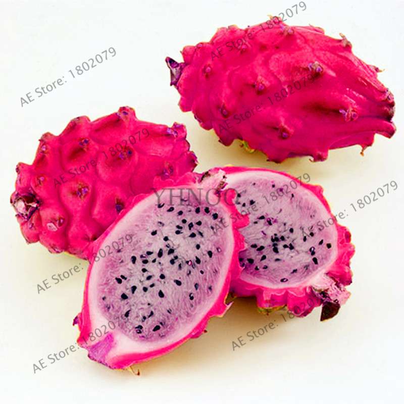 Sweet Dragon Fruit Seeds - Fresh Pitaya for Home Garden Planting | Delicious & Easy to Grow