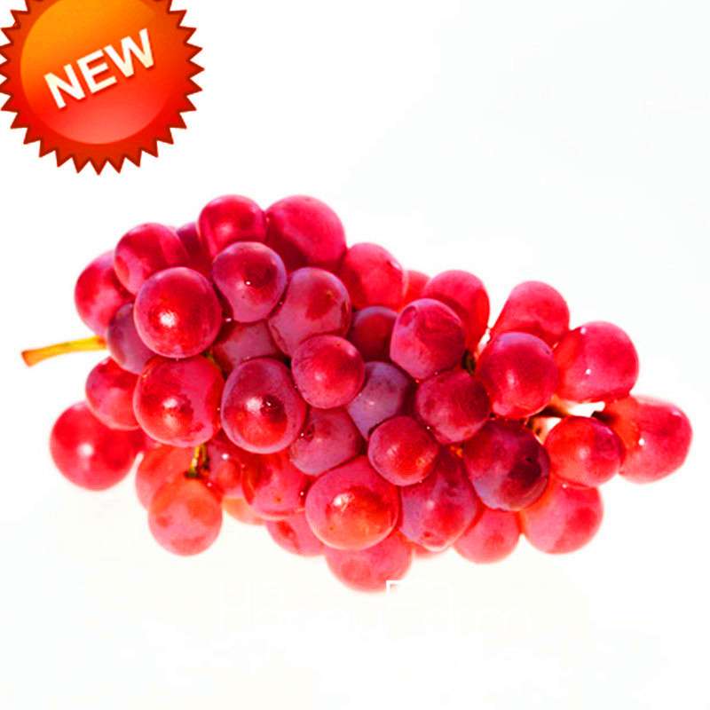 Rose Red Grape Seeds - Natural, Delicious Fruit Plants for Home Gardening