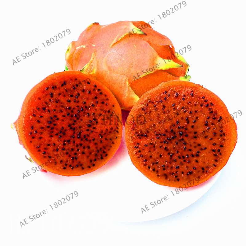 Sweet Dragon Fruit Seeds - Fresh Pitaya for Home Garden Planting | Delicious & Easy to Grow
