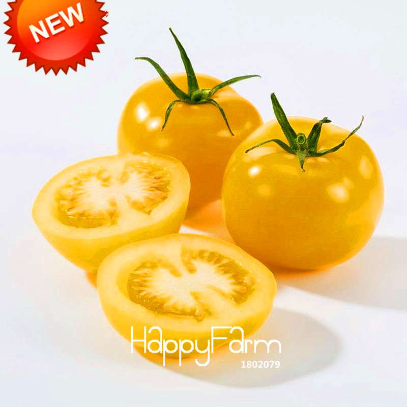 Organic Purple Tomato Seeds for Home Garden - Non-GMO, Easy Grow