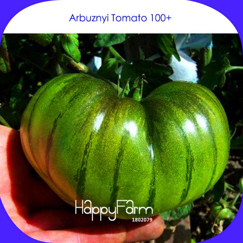 Organic Heirloom Arbuznyi Big Green Tomato Seeds - Dark Green Stripe, Non-GMO, Rare Vegetable Seeds for Garden