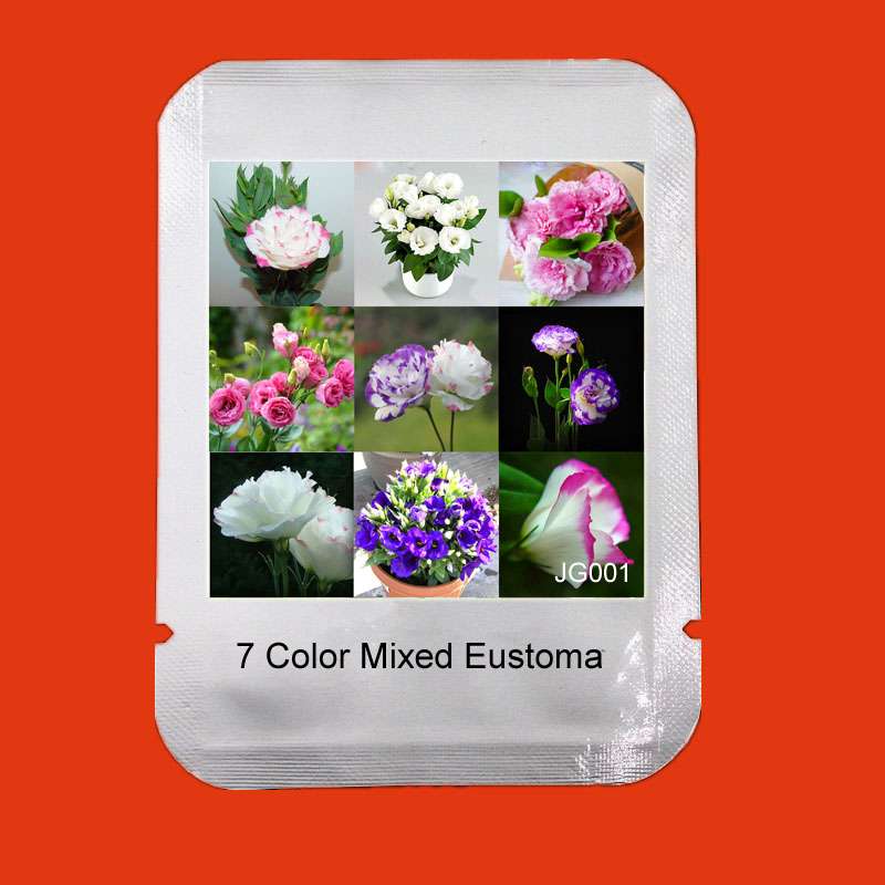 Mixed Color Eustoma Seeds - Perennial Blooming Flowers for Pots, Home & Garden Planting (7 Colors)