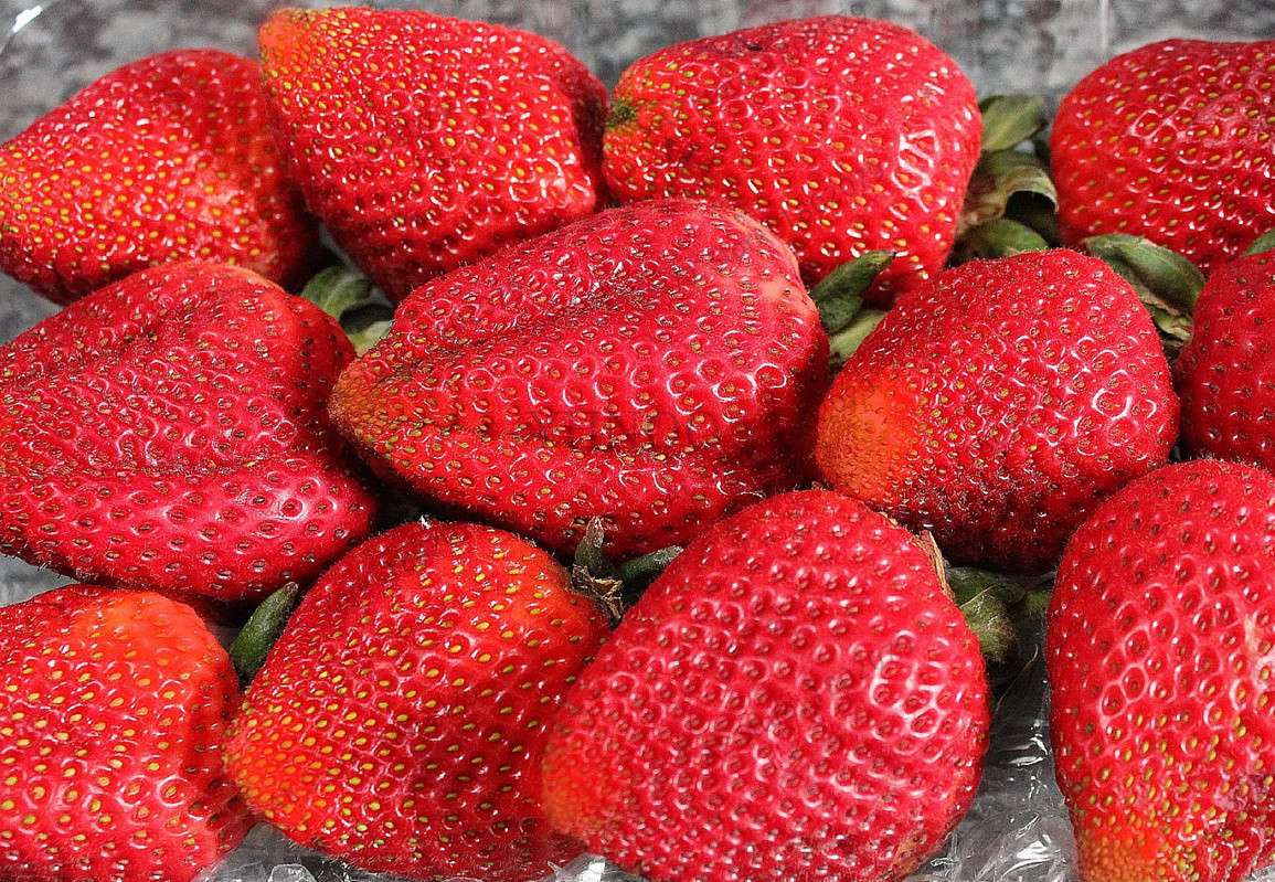 Giant Strawberry Seeds - Organic, Non-GMO, Sweet Fruit for Home Garden Planting | Bonsai Pot Friendly