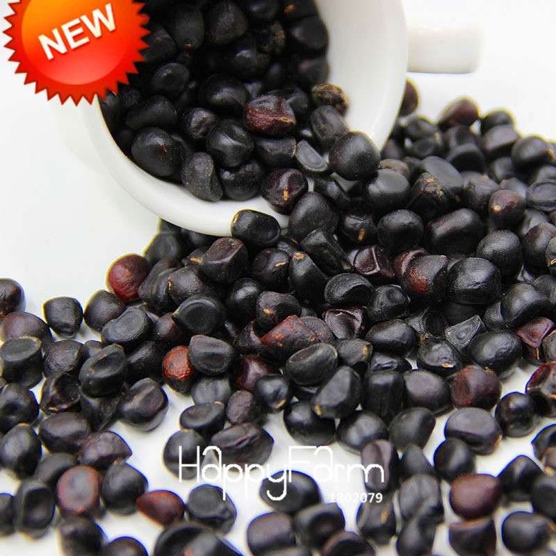 25-Color Chinese Peony Seeds - Grow Stunning Bonsai & Potted Flowers| Authentic & Easy to Plant