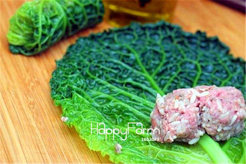 Organic Savoy Cabbage Seeds - Heirloom, Non-GMO, Delicious & Easy to Grow - Perfect for Home Garden