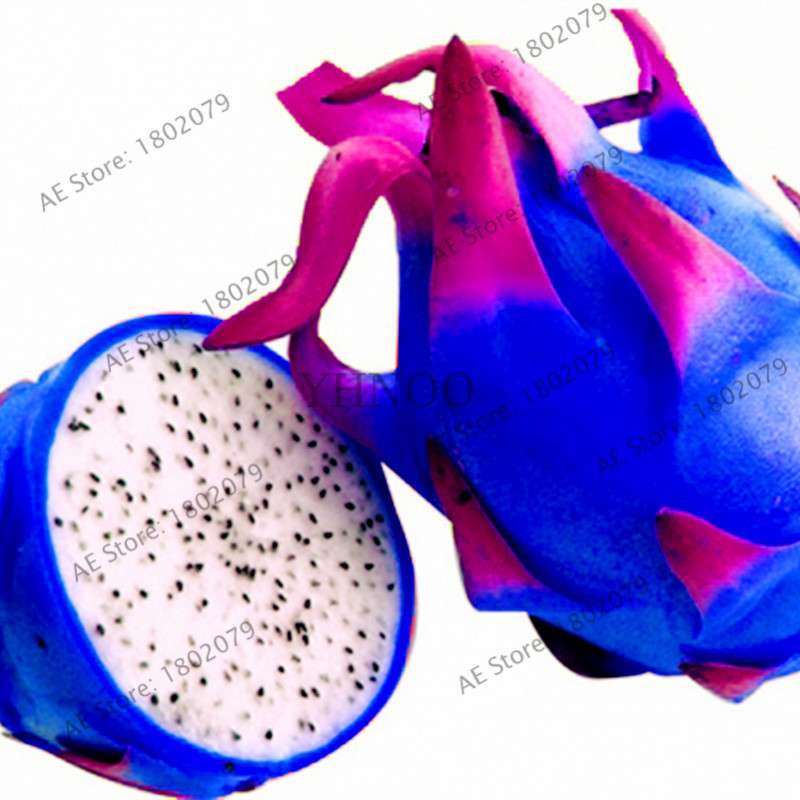 Sweet Dragon Fruit Seeds - Fresh Pitaya for Home Garden Planting | Delicious & Easy to Grow