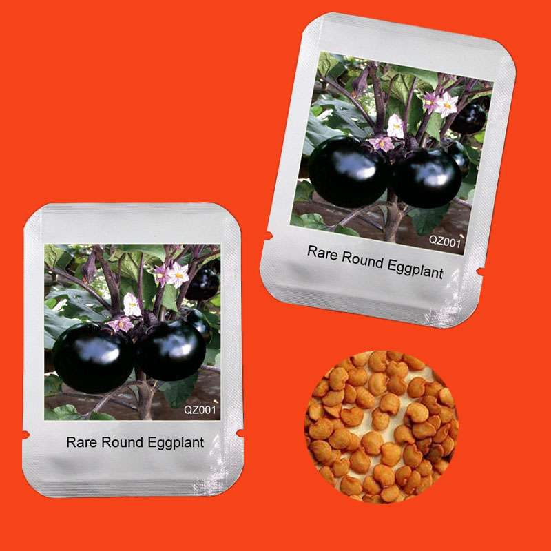 Round Eggplant Seeds - Delicious & Beautiful Bonsai Plants for Home Garden | Premium Vegetable Seeds